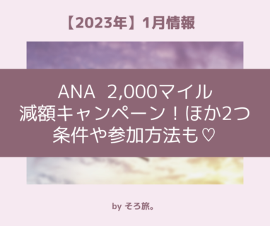 2023/1/17～【ANA国内線】減額マイルキャンペーン！適用条件や参加方法など♡