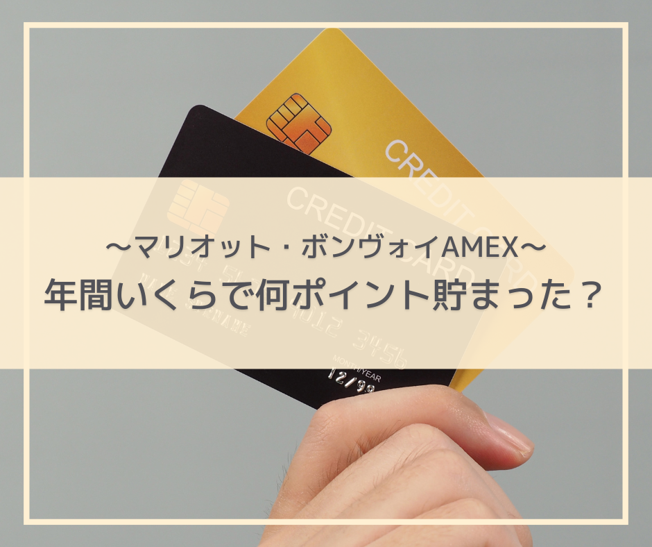 マリオット・ボンヴォイAMEX！本当にお得？～1年でどれくらいポイント貯まった？実績大公開！